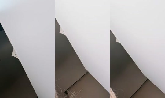 sjiscc's Stream - Sep 21, 2026, 7:38 AM
