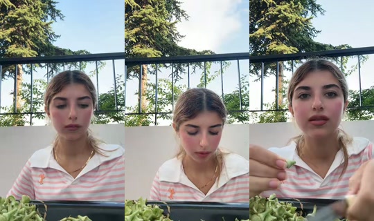 snowyyy059's Stream - Jul 11, 2026, 2:46 PM
