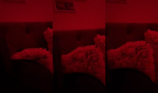 sofinxkaa's Stream - Aug 14, 2026, 10:14 PM