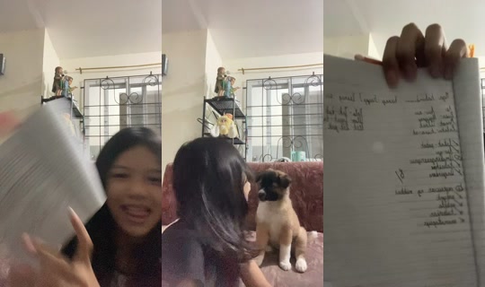 sphvyryy's Stream - Jul 19, 2026, 9:57 AM