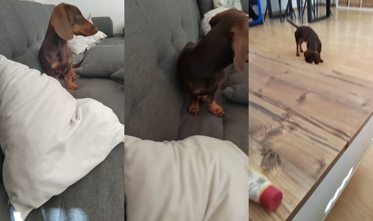 squishy.land64's Stream - Aug 7, 2026, 7:51 AM