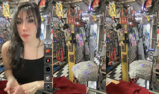 steffywyderr's Stream - Oct 14, 2026, 3:05 PM