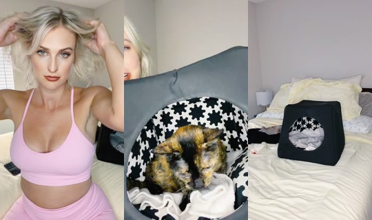 stephiiebabe2.0's Stream - Jul 26, 2026, 2:09 AM