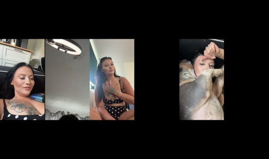 steviejames8's Stream - Jul 24, 2026, 10:33 AM
