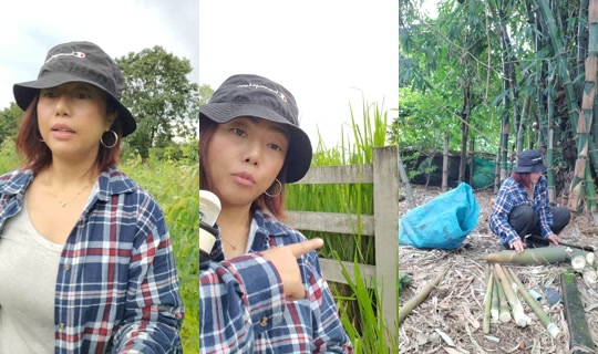 sue16442's Stream - Jul 24, 2026, 9:44 AM