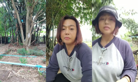 sue16442's Stream - Aug 7, 2026, 7:44 AM