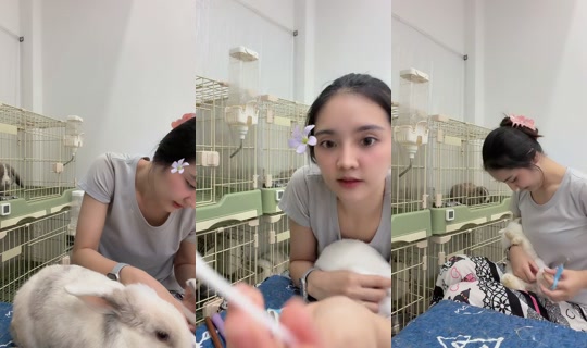 sugarrbunny_family's Stream - Jul 25, 2026, 6:14 AM