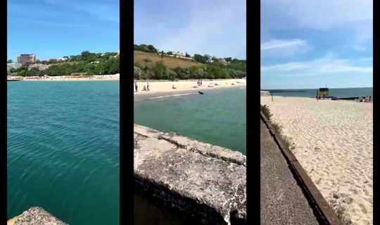 svetlanatiktok222's Stream - Aug 8, 2026, 8:59 AM