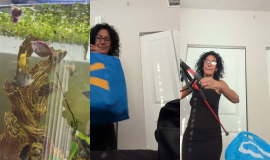 taiger.com2's Stream - Aug 9, 2026, 10:33 PM