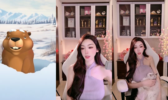 tamara1228's Stream - Oct 14, 2026, 8:54 PM
