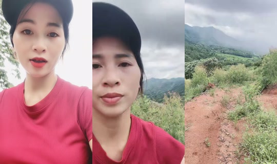 tami.com.vn's Stream - Jul 29, 2026, 4:05 AM