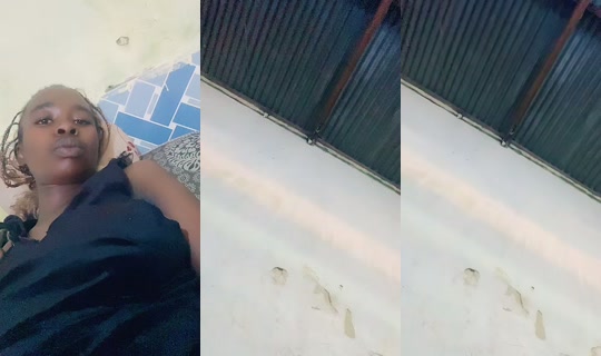 tashabree's Stream - Jul 16, 2026, 5:31 AM