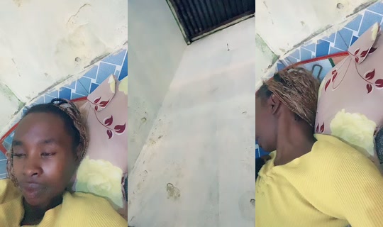tashabree's Stream - Jul 21, 2026, 7:07 AM