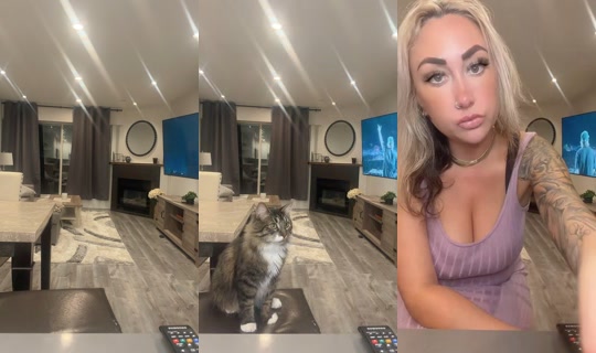 taytortok's Stream - Aug 26, 2026, 3:41 AM