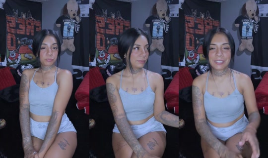 teetee1796's Stream - Jul 28, 2026, 4:06 AM