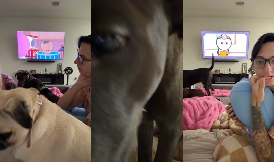 tess.b.ugc's Stream - Sep 10, 2026, 1:47 AM
