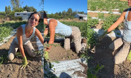 thatfarmgirllaura's Stream - Jul 15, 2026, 3:48 PM