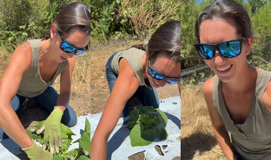 thatfarmgirllaura's Stream - Jul 18, 2026, 6:29 PM