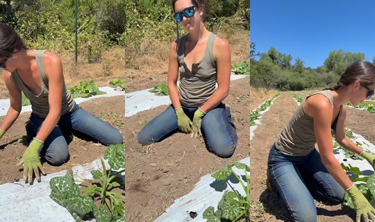thatfarmgirllaura's Stream - Jul 18, 2026, 7:10 PM