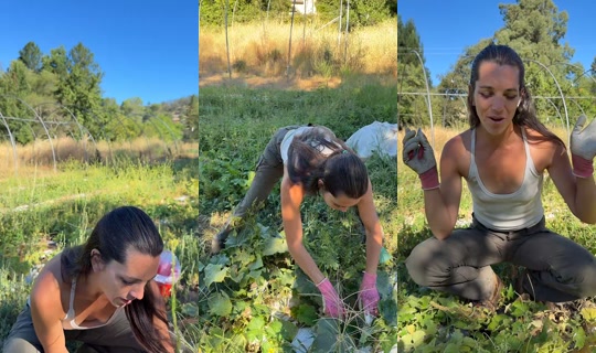 Stream ni thatfarmgirllaura - Hul 27, 2026, 3:47 PM