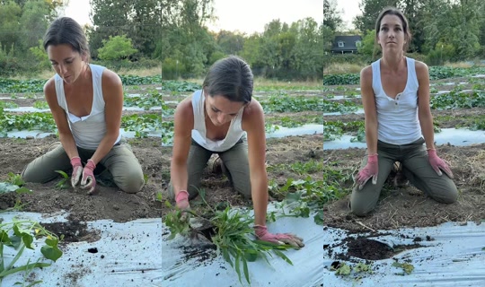 thatfarmgirllaura's Stream - Jul 29, 2026, 2:42 AM