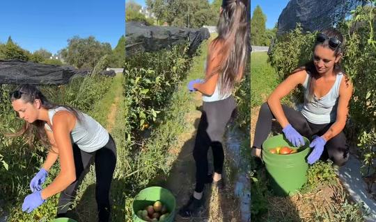 thatfarmgirllaura's Stream - Aug 5, 2026, 3:38 PM
