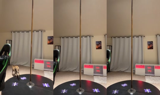 thatforeignfreakk's Stream - Jul 22, 2026, 3:56 AM