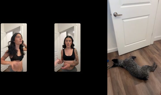 thatpunchygirl1's Stream - Jul 28, 2026, 9:40 PM