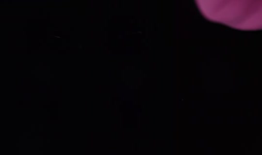 thedominicanbaddie6's Stream - Jul 30, 2026, 12:29 AM
