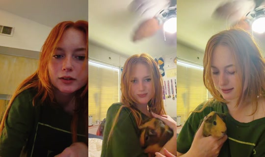 therosiemcinerney's Stream - Jul 18, 2026, 11:02 PM