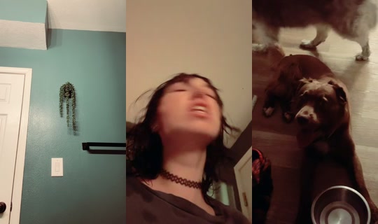 thesirenspoon's Stream - Sep 19, 2026, 6:48 AM