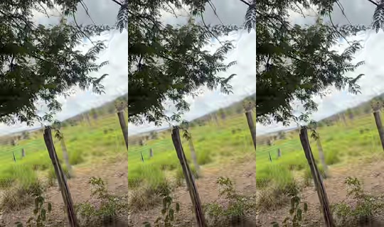 thifany3675's Stream - Sep 20, 2026, 1:10 PM