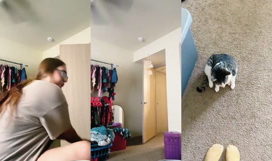 thiscantbereal__0's Stream - Jul 29, 2026, 7:24 PM
