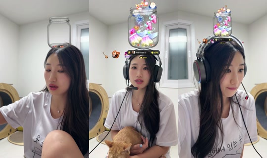 Stream ni thisisdoki - Hul 30, 2026, 6:21 PM