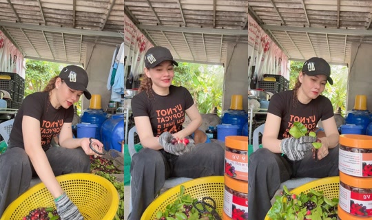 thuytien.1983's Stream - Jul 25, 2026, 5:09 AM