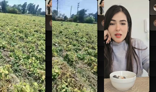 بث tiktok059857 - 23 أغسطس 2026، 6:16 م