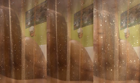 tine6xy's Stream - Jul 15, 2026, 8:29 AM