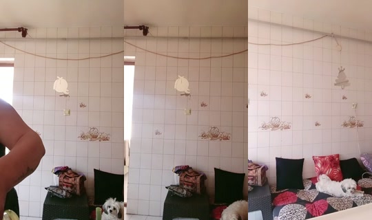 toprakk062580's Stream - Jul 19, 2026, 7:02 AM