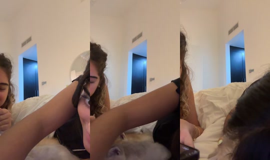 touuuts's Stream - Sep 13, 2026, 7:46 PM
