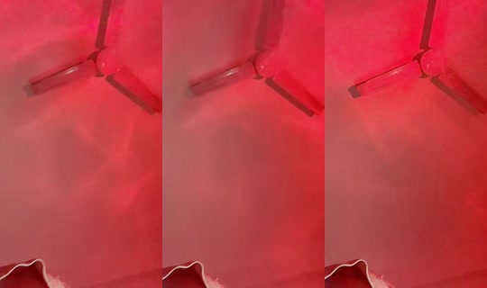 triciabea72's Stream - Jul 10, 2026, 11:21 PM
