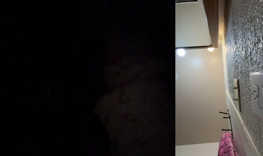 trippymayne03's Stream - Jul 20, 2026, 9:24 AM