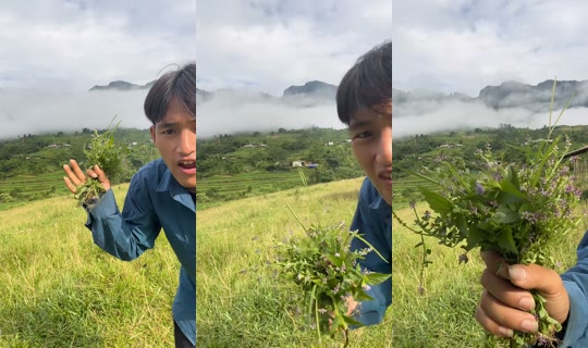 tuan2001tq's Stream - Aug 7, 2026, 1:00 AM