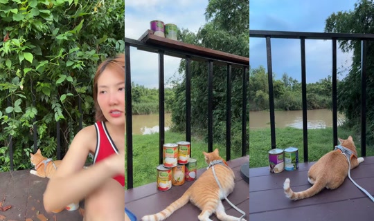 tuazorfamily's Stream - Jul 21, 2026, 11:07 AM