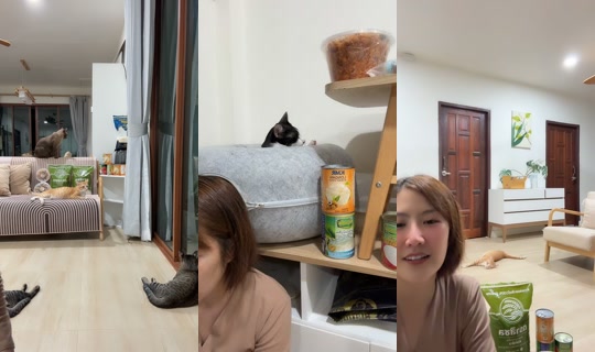 tuazorfamily's Stream - Jul 23, 2026, 12:54 PM