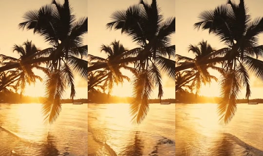tutimarya12's Stream - Jul 14, 2026, 3:52 AM