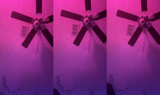 user03483503er's Stream - Jul 21, 2026, 3:26 AM