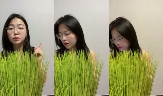 user1111373294836's Stream - Jul 28, 2026, 7:09 AM