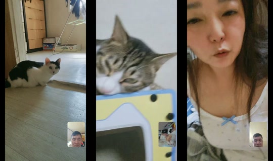 user5265993356381's Stream - Aug 6, 2026, 12:34 AM