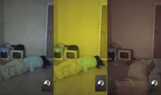 Stream ni user5265993356381 - Ago 10, 2026, 4:51 PM
