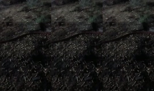 user7200302060825's Stream - Jul 21, 2026, 6:02 PM